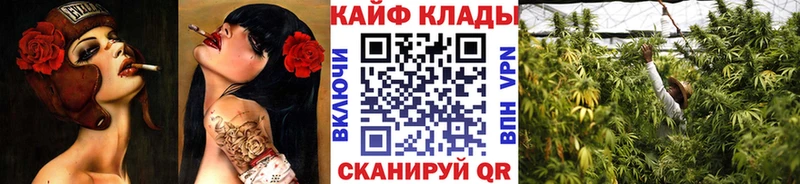 Наркошоп купить Псилоцибиновые грибы  Меф  Cocaine  ГАШ  МАРИХУАНА  АМФ  Краснодар