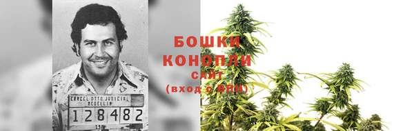 трава Беломорск