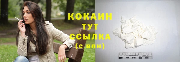 прущие крисы Белокуриха
