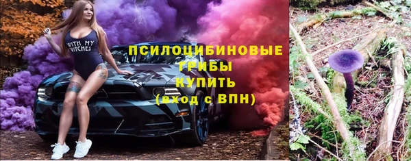 прущие крисы Белокуриха